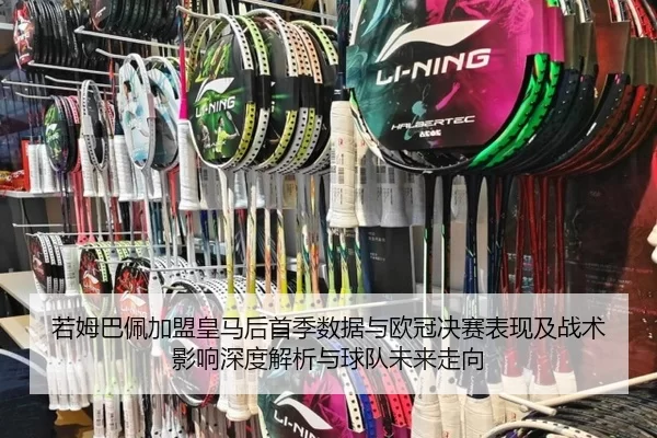 ruo-mu-ba-pei-jia-meng-huang-ma-hou-shou-ji-shu-ju-yu-ou-guan-jue-sai-biao-xian-ji-zhan-shu-ying-xiang-shen-du-jie-xi-2-412.jpg